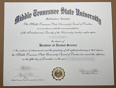 Purchase a Middle Tennessee State University fake diploma.