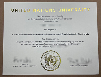 purchase realistic United Nations University degree